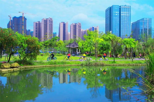 市自然资源局科学编制国土空间规划,引领城市高质量发展